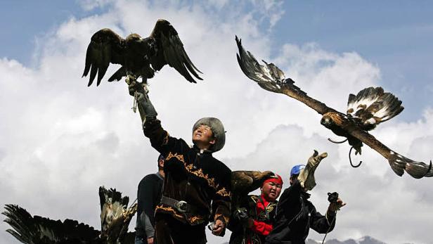 Bilder des Jahres 2011