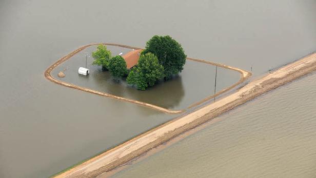 Bilder des Jahres 2011