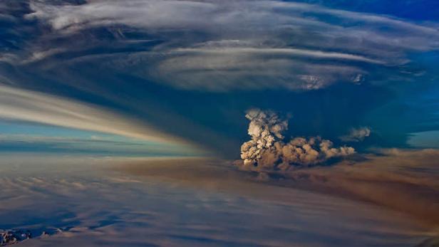 Bilder des Jahres 2011