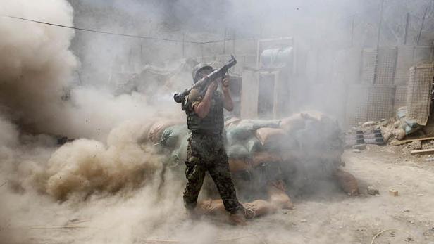 Bilder des Jahres 2011