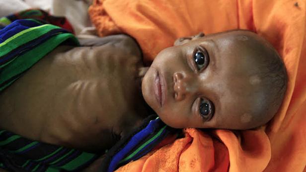 Bilder des Jahres 2011