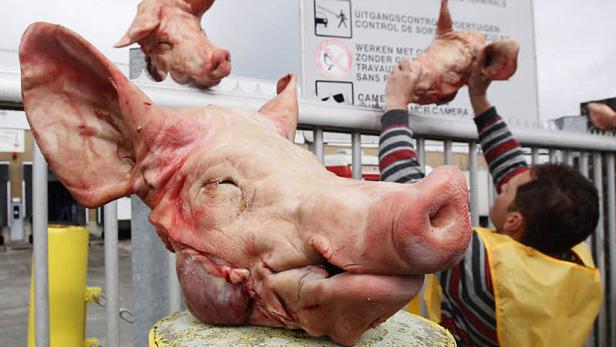 Bilder des Jahres 2011