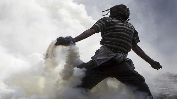 Bilder des Jahres 2011