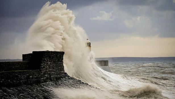 Bilder des Jahres 2011