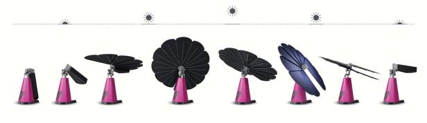 Eine Reihe von Solarpanel-Prototypen auf pinkfarbenen Sockeln, die sich je nach Sonneneinstrahlung entfalten.