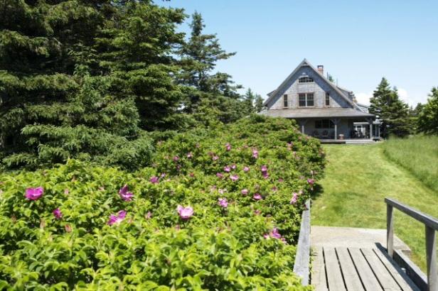 Ein Holzsteg führt zu einem Haus hinter einem Busch mit rosa Blüten.