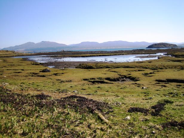 Eine Küstenlandschaft mit Gezeitenbecken und Bergen im Hintergrund.
