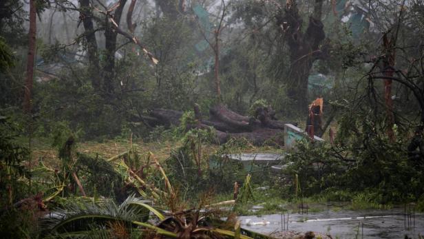Ein verwüsteter Wald mit umgestürzten Bäumen und abgebrochenen Ästen nach einem Sturm.