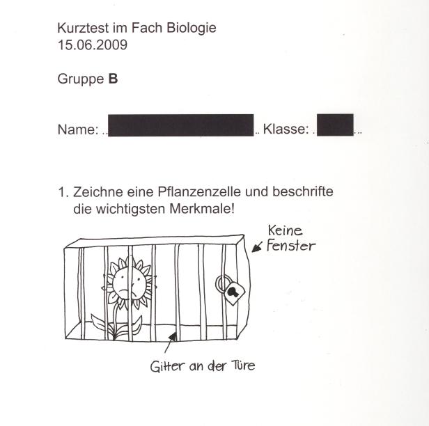 Wer nicht weiter weiß, muss kreativ sein