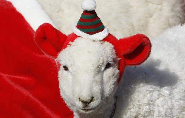 Schräge Weihnachten in aller Welt