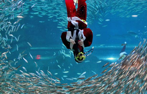 Schräge Weihnachten in aller Welt