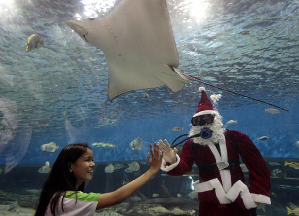 Schräge Weihnachten in aller Welt