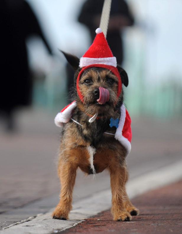 Schräge Weihnachten in aller Welt