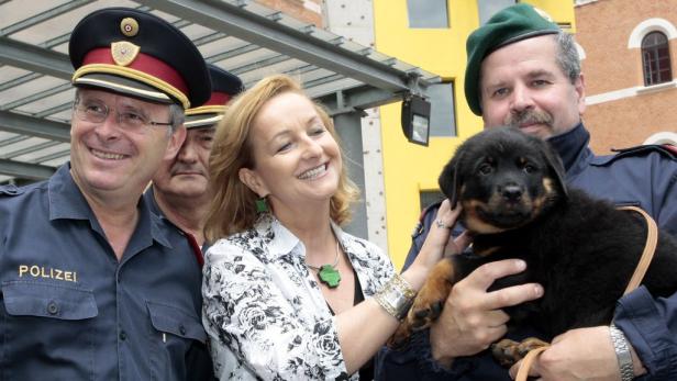 Die Zitate des Jahres