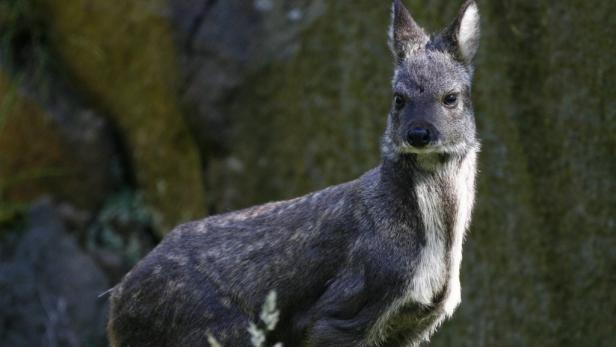 Das Sportjahr: 100 Gründe den Kopf zu schütteln (3)