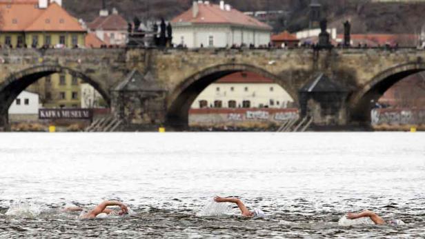 Hartgesottene Prager Winterschwimmer