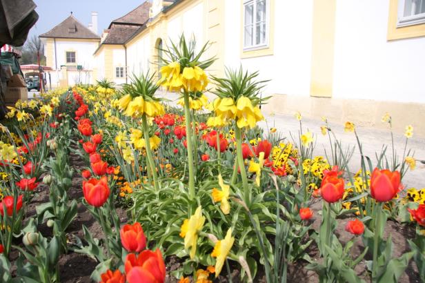 Ostern auf Schloss Hof