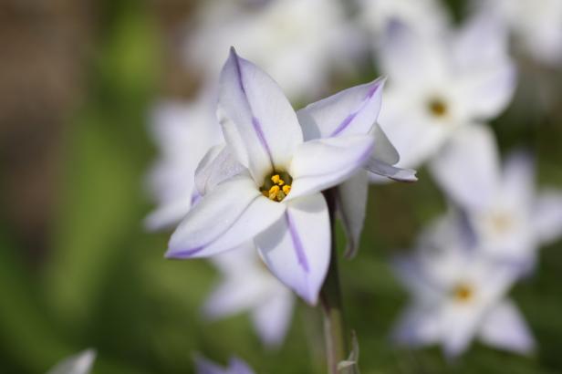 Ostern auf Schloss Hof