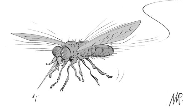 Best of Pammesberger 2011