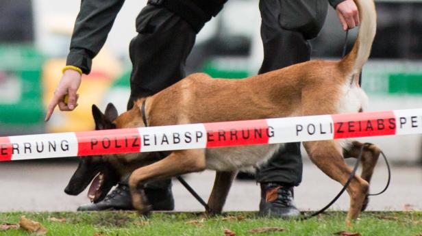 Gebrauchshunde: Hoch sollen sie leben