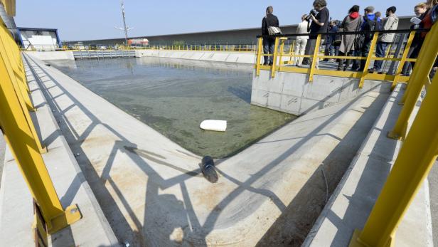 Eine Gruppe von Menschen steht am Rande eines großen Wasserbeckens in einer Kläranlage.