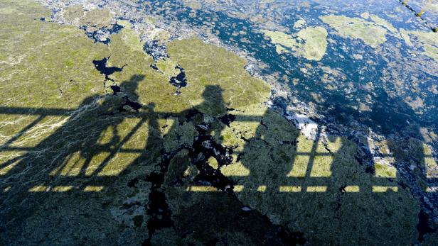 Der Schatten einer Brücke und von Personen fällt auf eine mit Algen bedeckte Wasserfläche.
