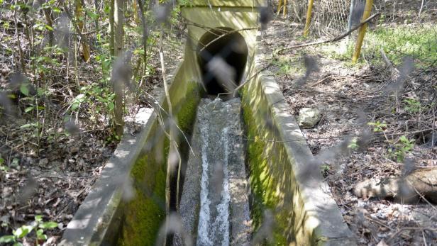 Wasser fließt durch einen betonierten Kanal unter einem Durchlass hindurch.