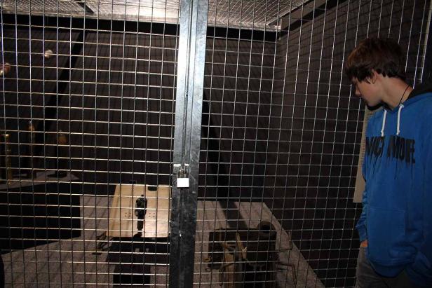 Ein Jugendlicher betrachtet einen Käfig mit verschiedenen Gegenständen darin.