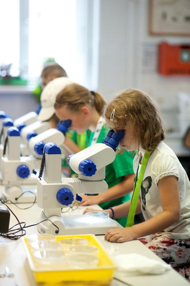 Kinder betrachten Proben durch Mikroskope im naturwissenschaftlichen Unterricht.