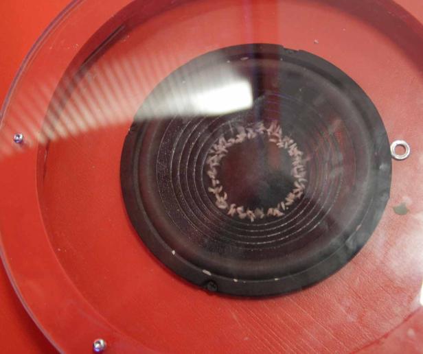 Mit zwei Klassen durch die neue ZOOM-Ausstellung