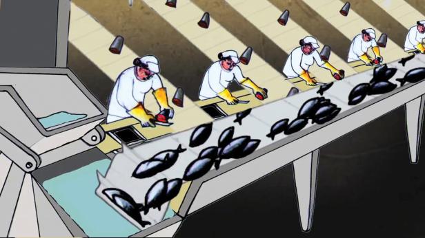 Arbeiter verarbeiten Fisch an einem Fließband in einer Fabrik.