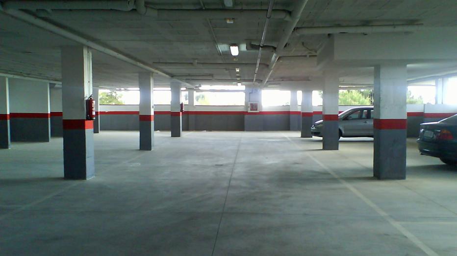 Wenn Nachbars Garten nervt | kurier.at