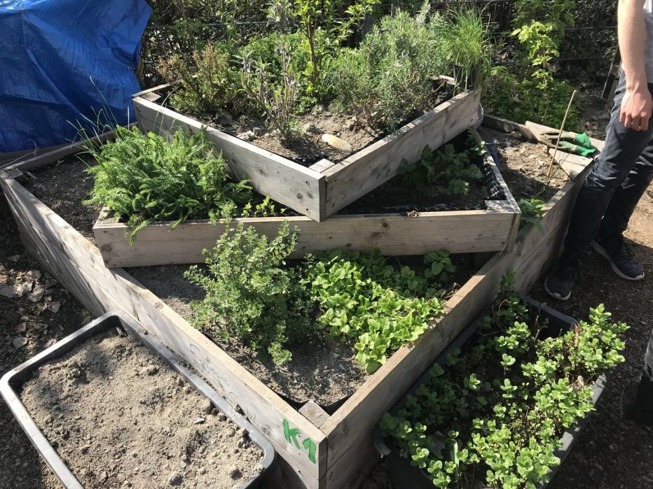 Axels Terrasseneintopf: Wenn sich Nachbarn einen Garten teilen | kurier.at