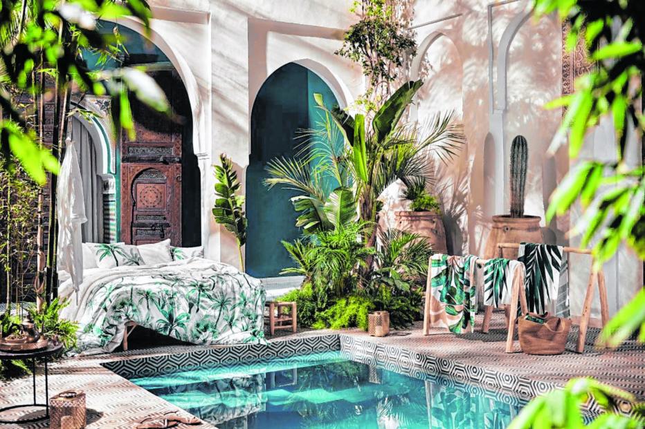 Wohntrends: Die schönsten Accessoires für Karibik-Stimmung | kurier.at