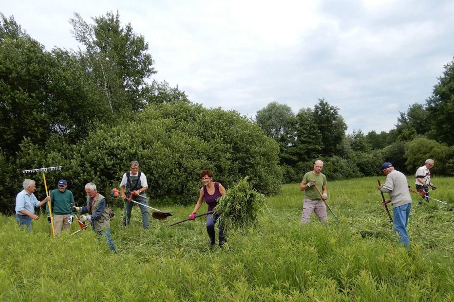 Naturschutz Ist Ihr Job – Und Das Freiwillig