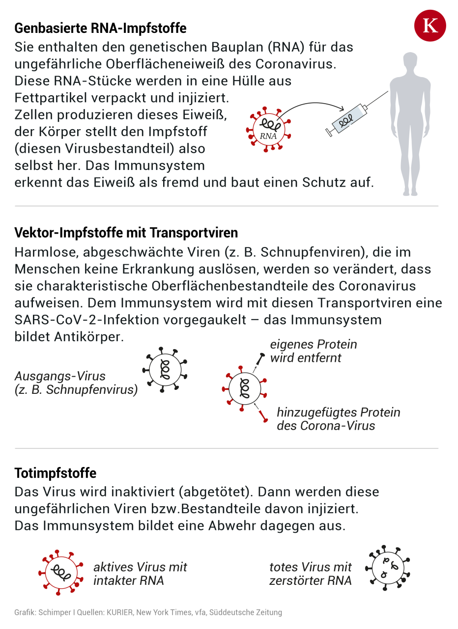 Teststopp Bei Corona-Impfung: "Eigentlich Ein Positives Signal" | Kurier.at