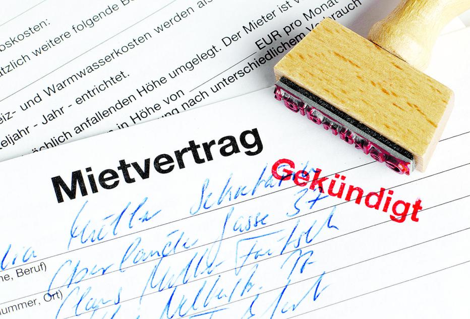 Eilmeldung! Lng Terminal Rügen: Frist Heimlich Verlängert – Wird Die Genehmigung Kippen? - dlma8jc