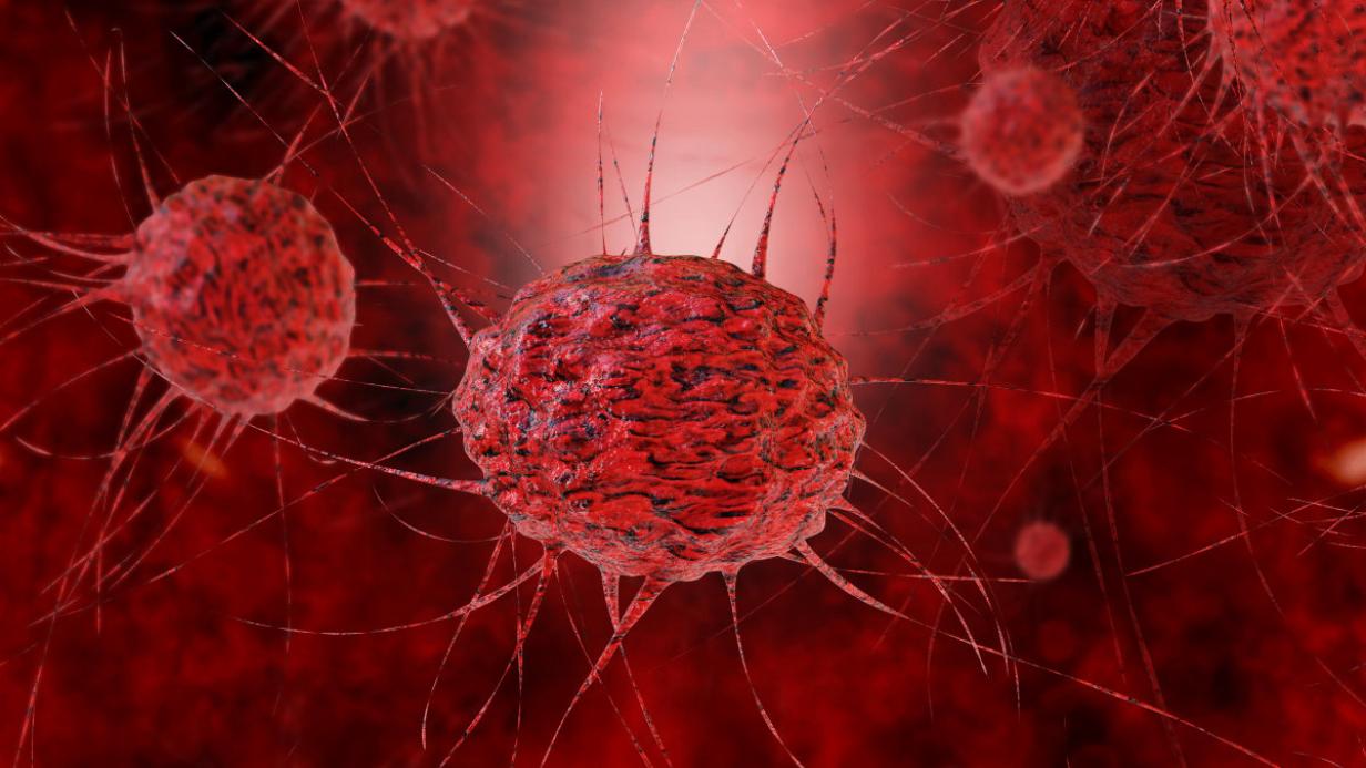 Krebs PatientenGespräch unterstützt Therapie