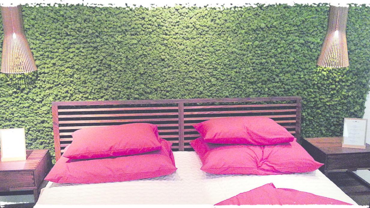 Moos im Schlafzimmer | kurier.at