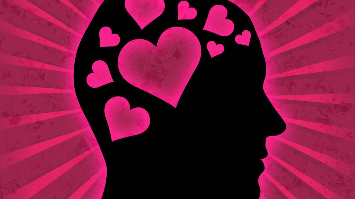 Warum Liebe Im Gehirn Beginnt Kurier At