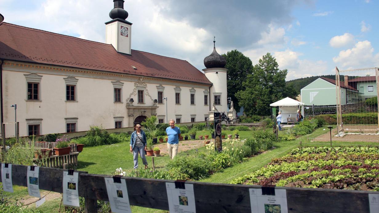 Arche Noah kommt nicht zur Ruhe Ex Obmann lehnt Neo Vorstand ab