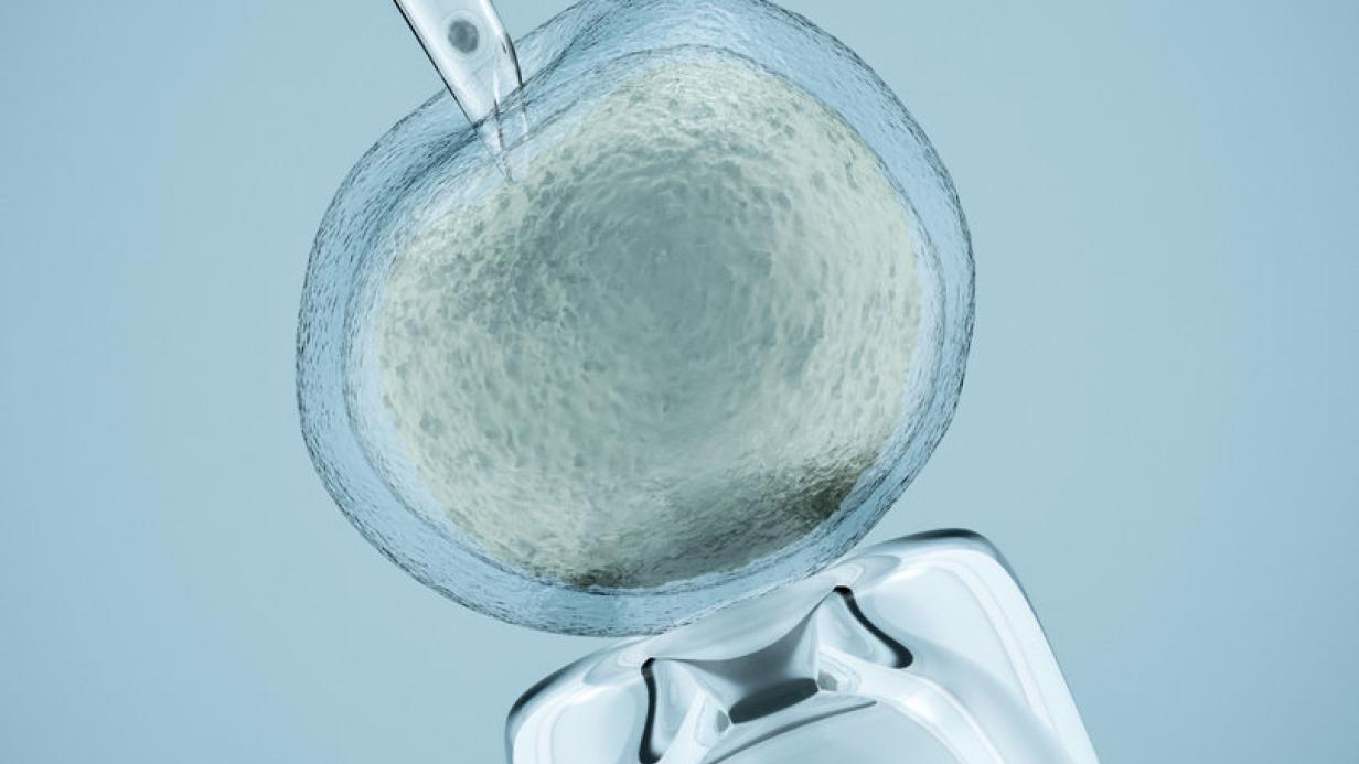 brokkolisamen zentrum der gesundheit Brokkolisamen gekeimt, bio, roh 200g  TAIGA Naturkost