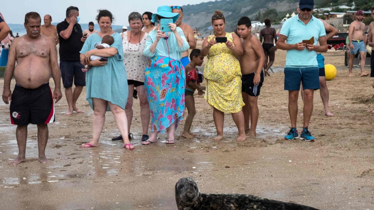 Oben ohne am Strand? Prüde Franzosen greifen durch