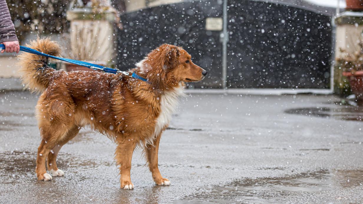 Wasserdichte Angelhandschuhe - Bissfest Für Hecht & Wels