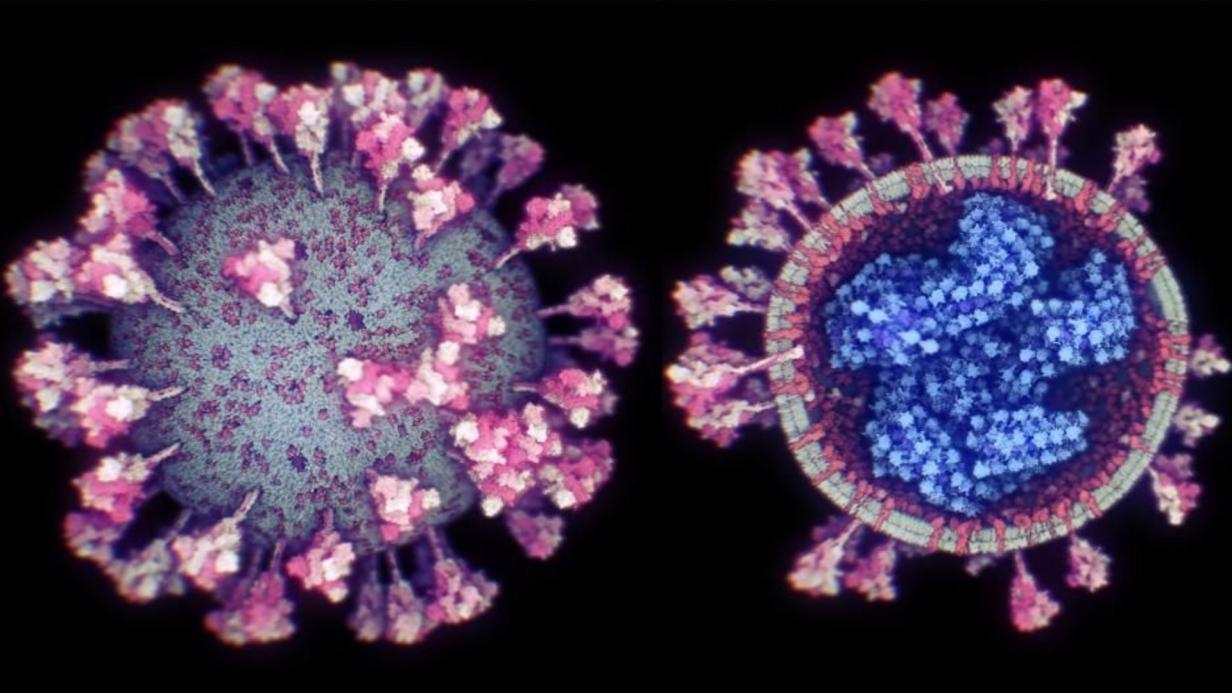 Neue Corona-Mutation In Der Bretagne Entdeckt