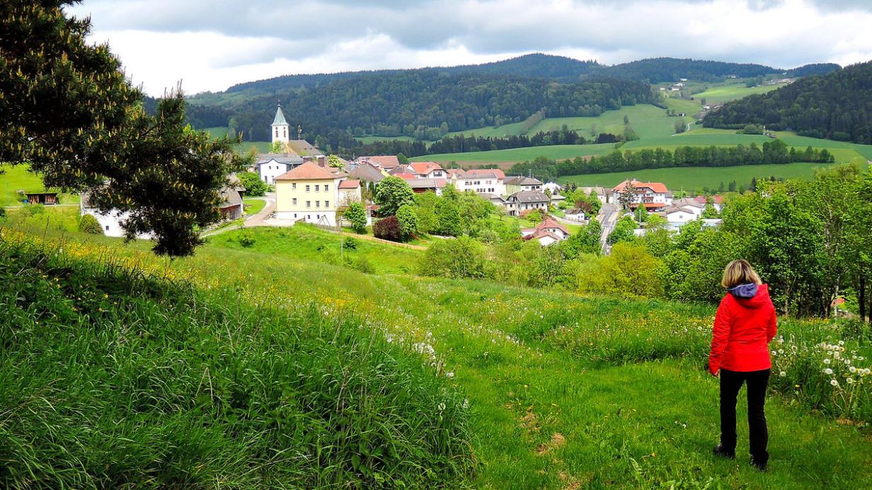 Singles Rohrbach In Obersterreich, Kontaktanzeigen aus 