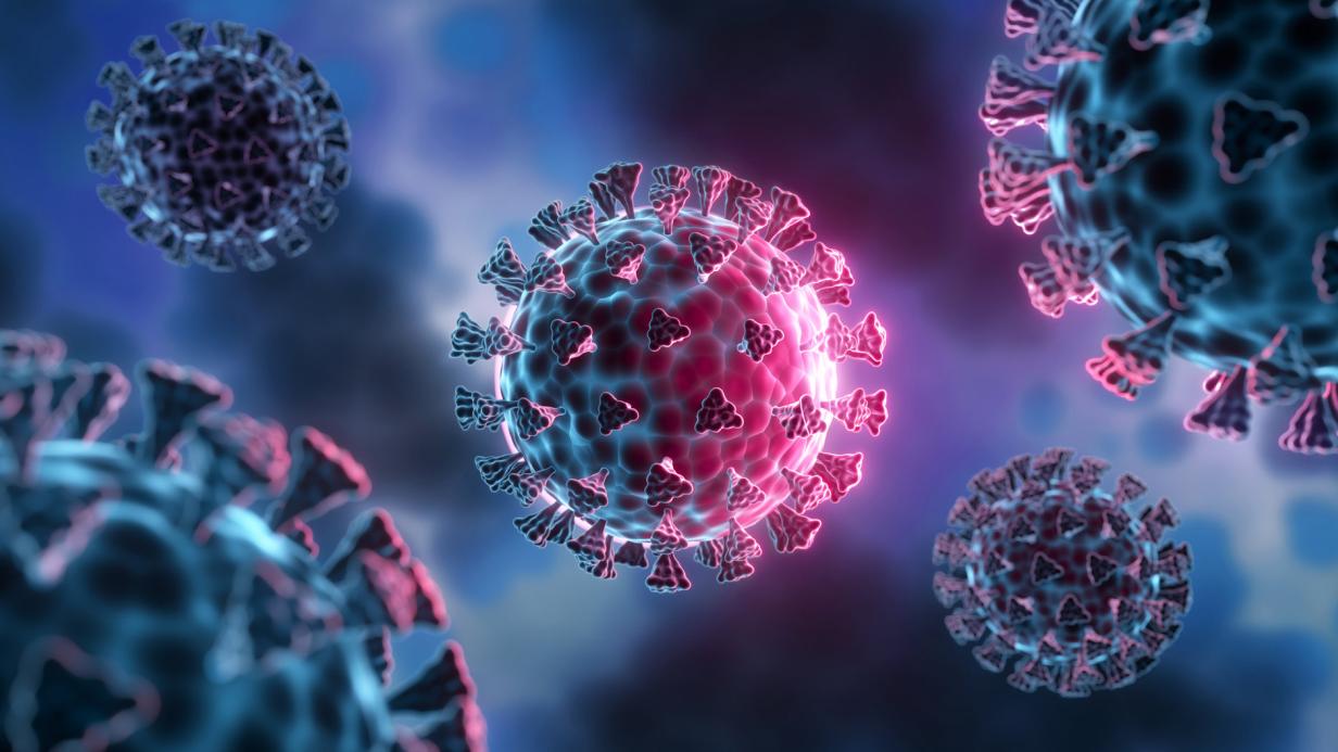 Warum eine Infektion keinen Schutz vor späterer Ansteckung garantiert