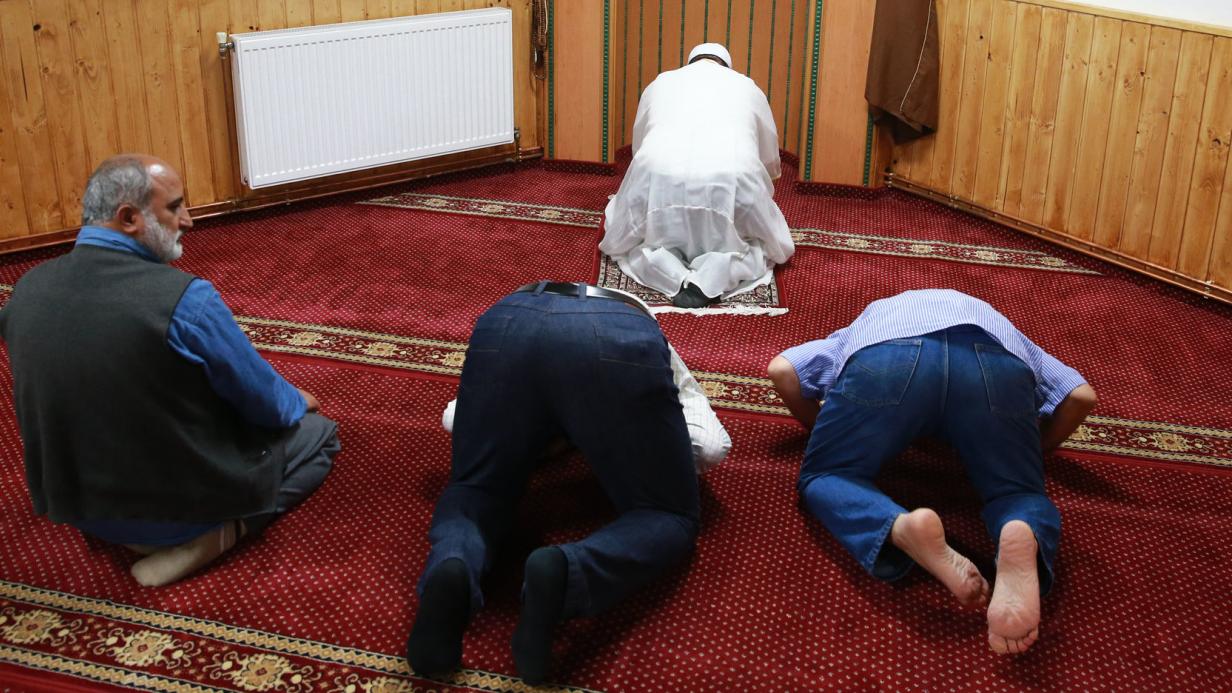 Studie zum politischen Islam Wenn die Hamas in Wien als Vorbild dient