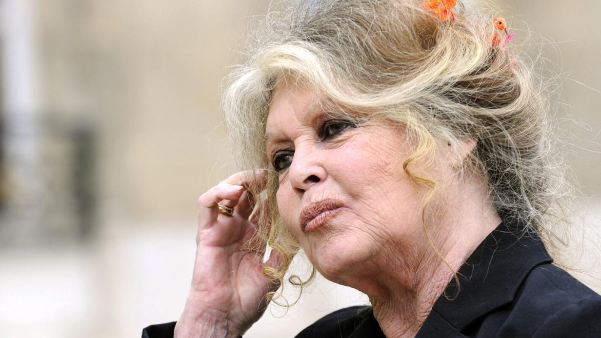 wie sieht brigitte bardot heute aus
