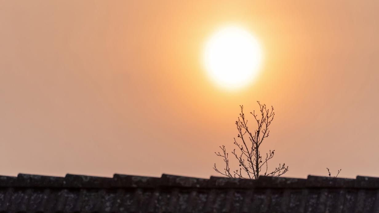 Warum Saharastaub fr PV-Module problematisch ist | Kurier